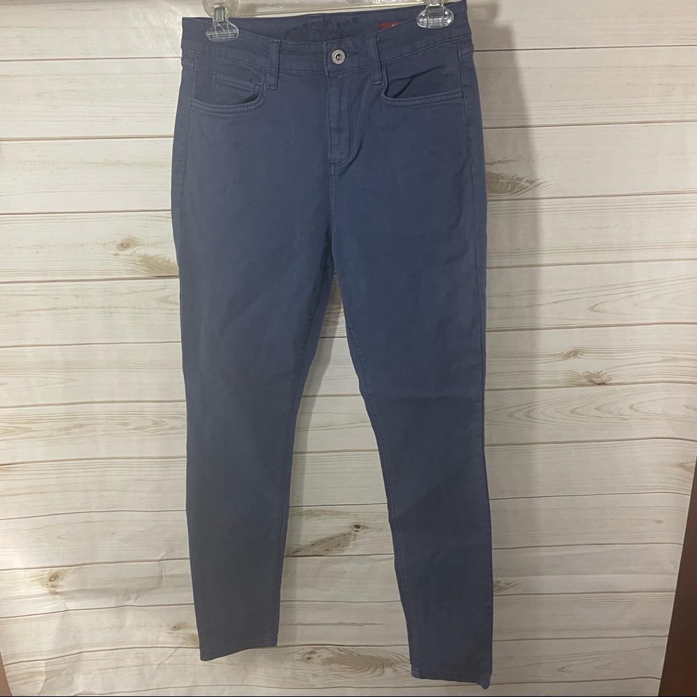 Arizona Blue Hi Rise skinny jeans